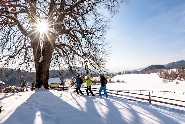 © KOGLERs Pfeffermühle Hotel & Restaurant > pauschale_winterzauber.jpg pauschale_winterzauber.jpg
