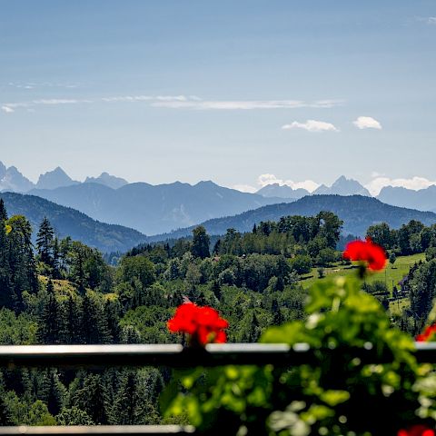terrasse_02.jpg
